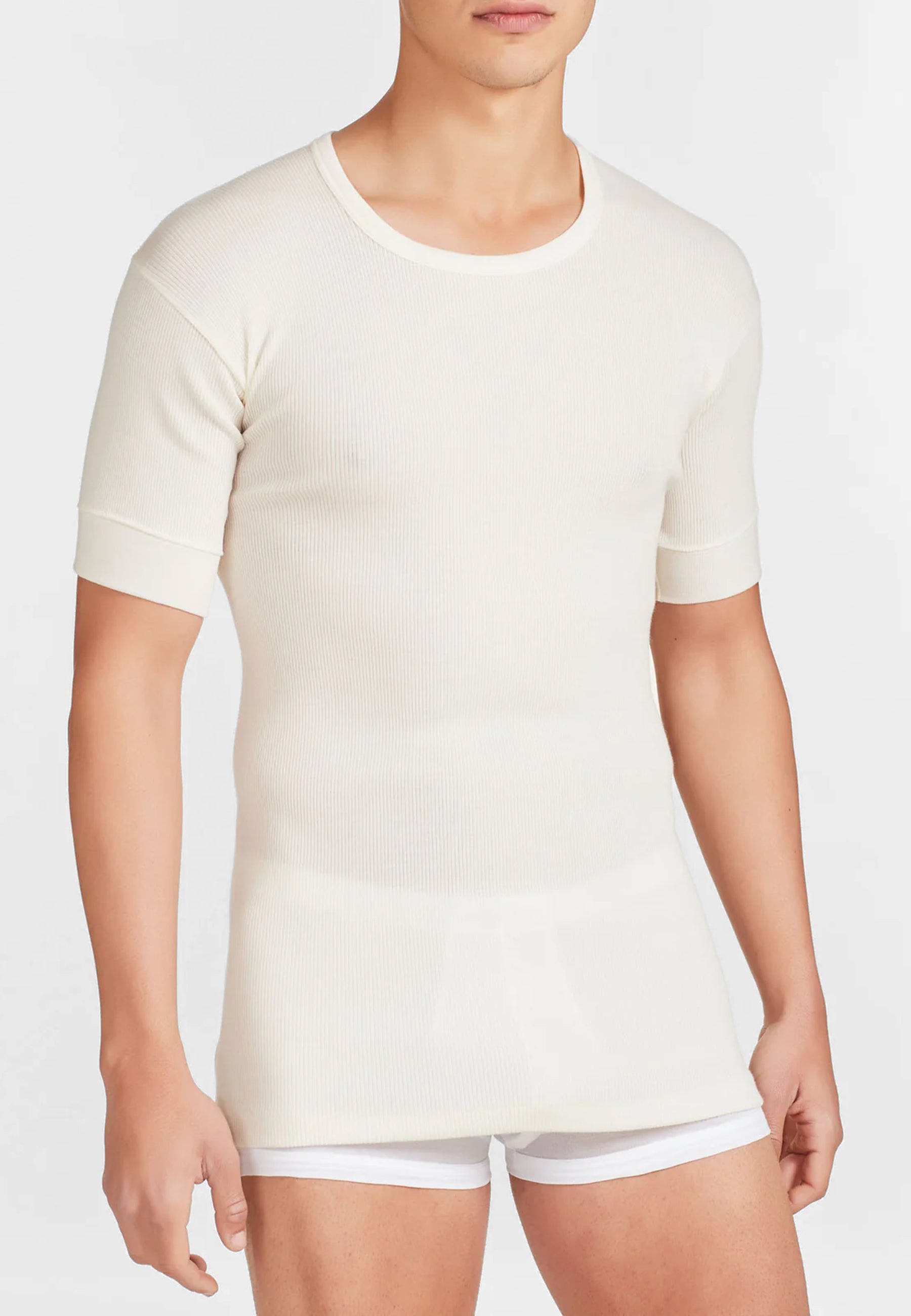 RAGNO 003157 Merino Strong Maglietta girocollo in costina di lana pesante