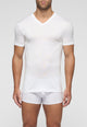 CAGI 1304 T-shirt Scollo V Uomo 100% Filo di Scozia